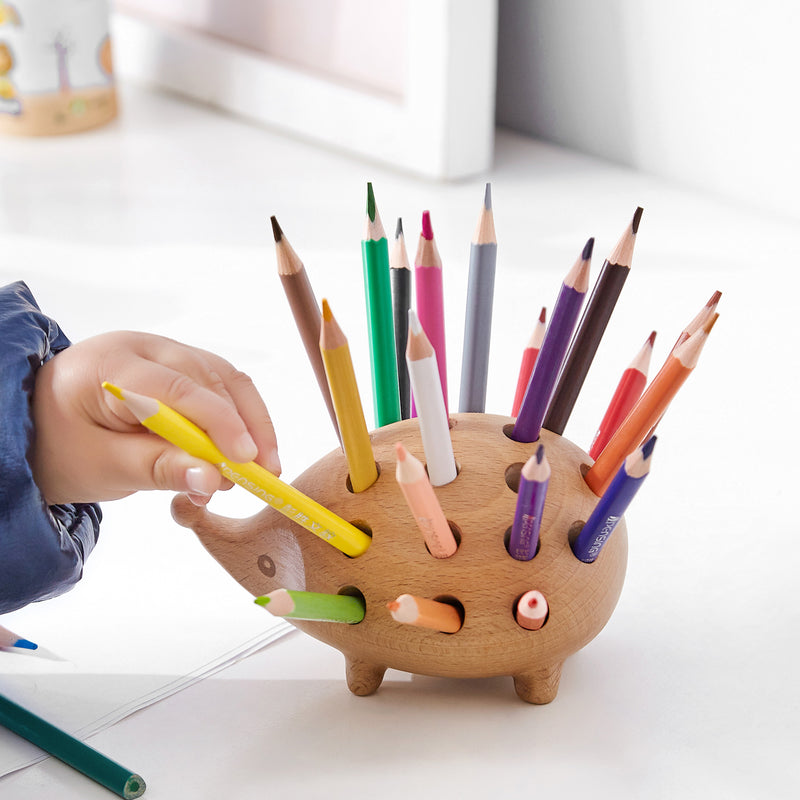 100% Beech wood hedgehog shape no formaldehyde 24pcs-pen holder