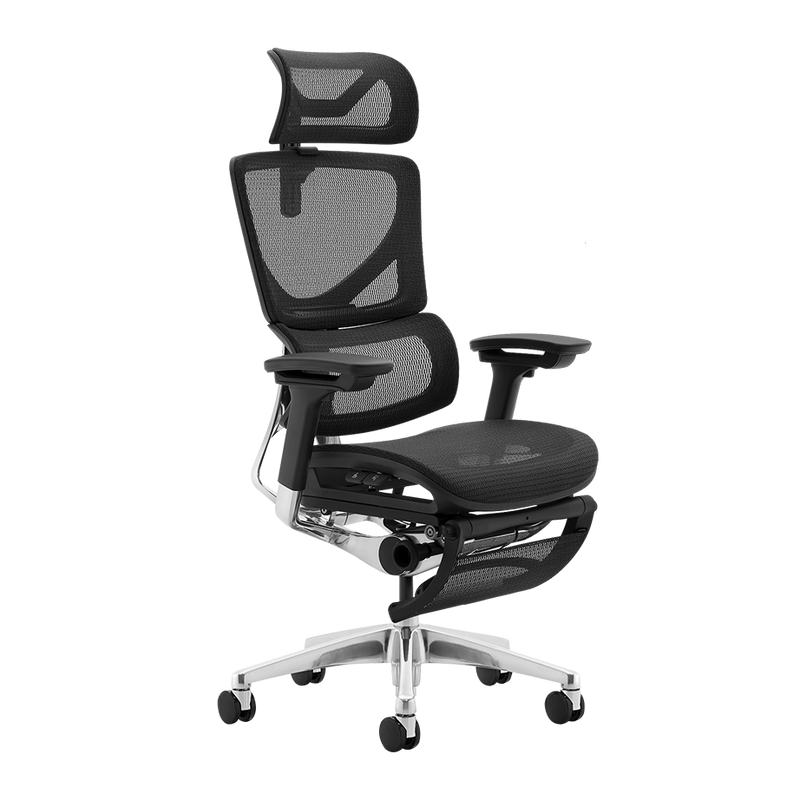 Dynamic Lumbar Support Office Chair | OC12-PRO | Eureka Ergonomic