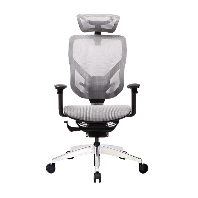 GTCHAIR 3D Dynamic Back- Lumbar Support Games Ergonomic Task Chair