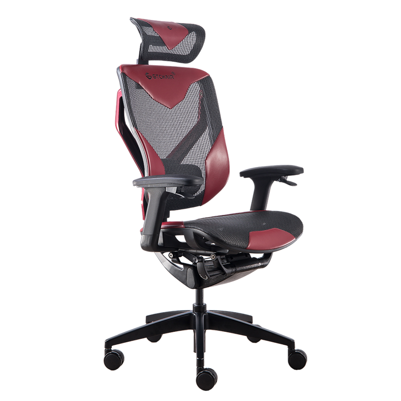 GTCHAIR Home Office Ergonomic Mesh Task Chair