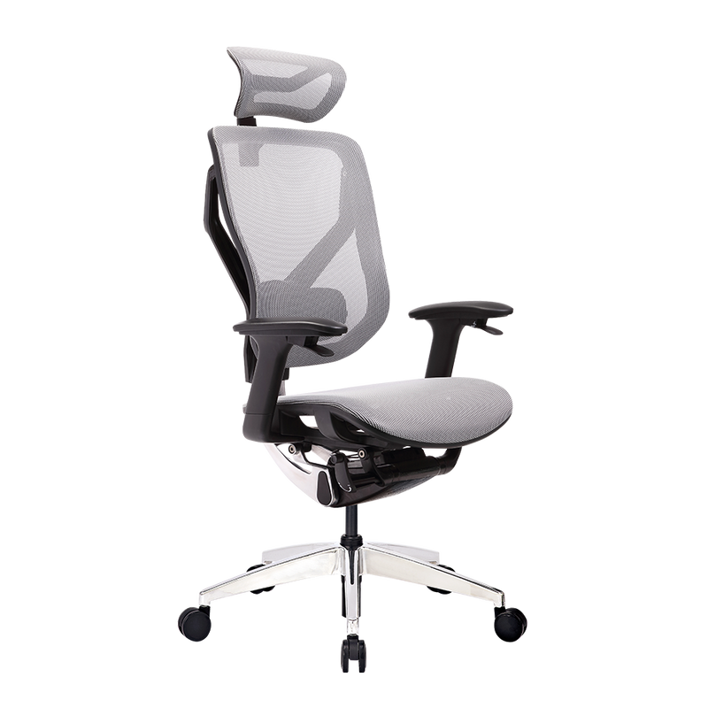 GTCHAIR 3D Dynamic Back- Lumbar Support Games Ergonomic Task Chair