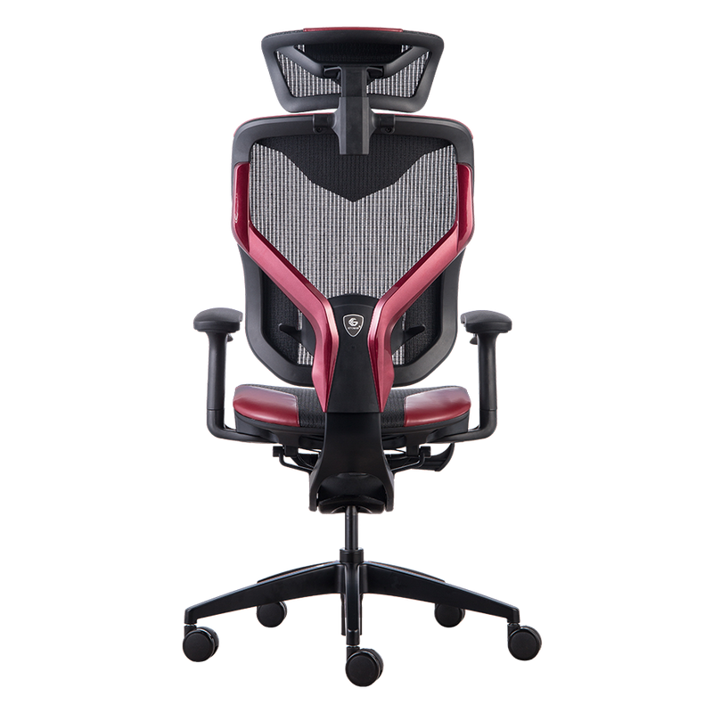 GTCHAIR Home Office Ergonomic Mesh Task Chair