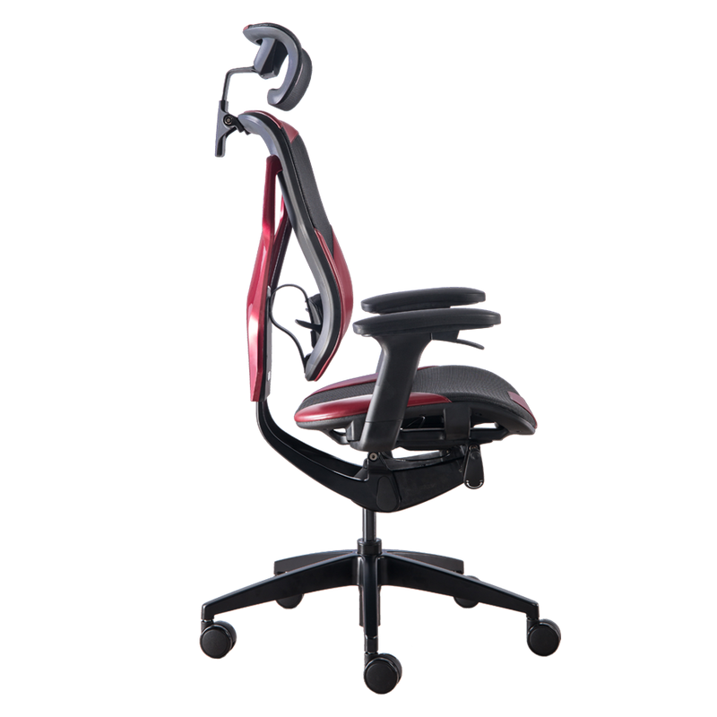 GTCHAIR Home Office Ergonomic Mesh Task Chair