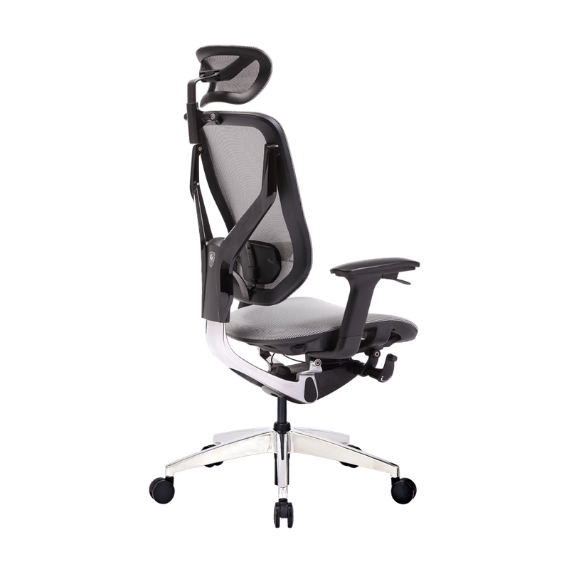 GTCHAIR 3D Dynamic Back- Lumbar Support Games Ergonomic Task Chair