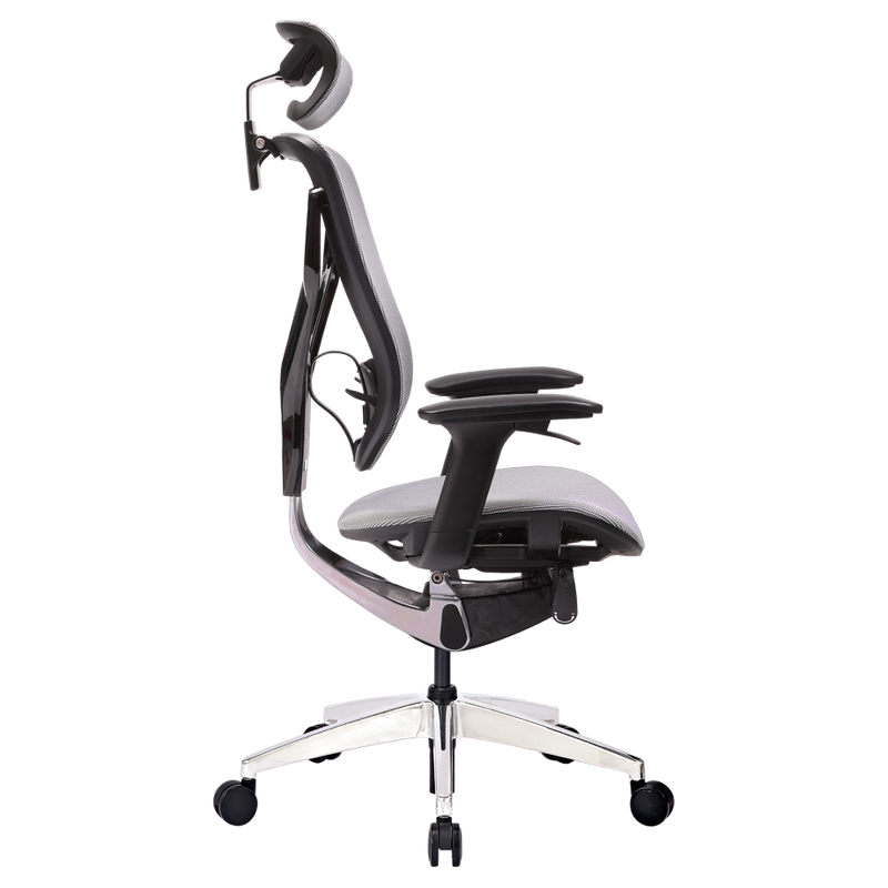 GTCHAIR 3D Dynamic Back- Lumbar Support Games Ergonomic Task Chair